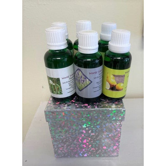 World Scents  Aromatherapy Top 6 Pure All Natural Essential Oil 100% Gift Set