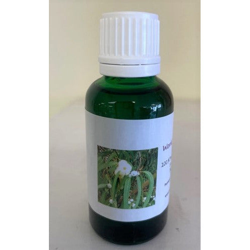 WorldScents 1oz bottle Eucalyptus Pure Aromatherapy Essential Oil 100% (30 ml)