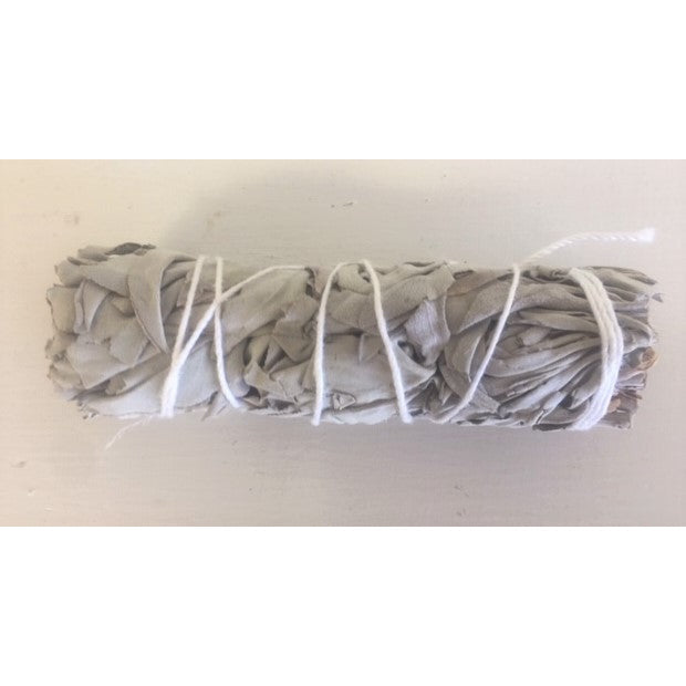 California  White  Sage Bundle 3"-4"